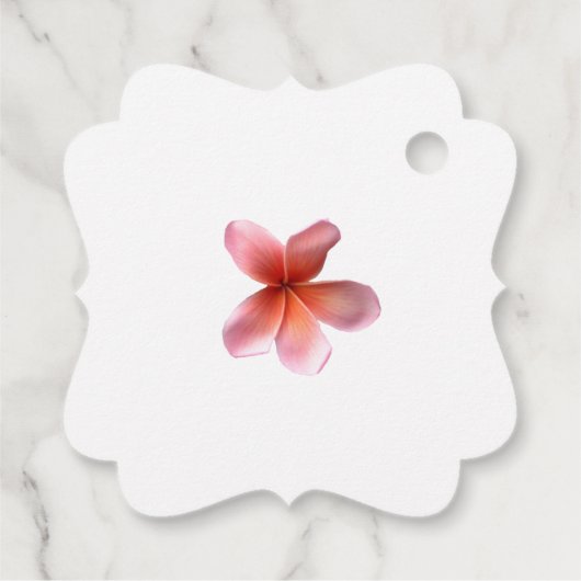 Roze stekelstaartwindstokers Weddenschap Label (Achterkant)