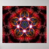 roze sterLicht poster (Voorkant)