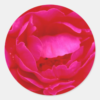 Roze Sticker -