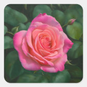  roze Sticker (Voorkant)