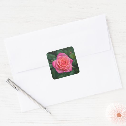  roze Sticker (Envelop)