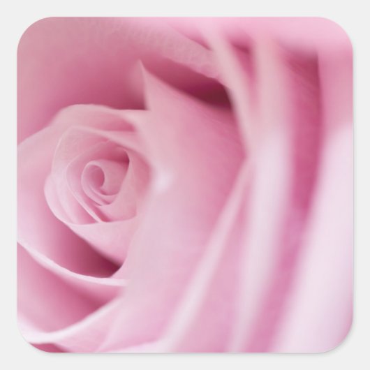 Roze Sticker en envelopzegel (Voorkant)