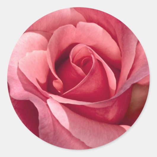 Roze Sticker en envelopzegel (Voorkant)