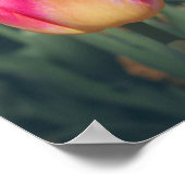 Roze stijl lentetulpen poster (Hoek)