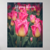 Roze stijl lentetulpen poster (Voorkant)