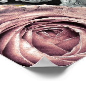 Roze stoeltje Rozen Butterflies Welkomstteken Swee Poster (Hoek)