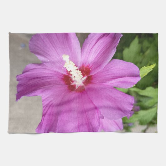 Roze stokroos bloem keukenhanddoek (Horizontaal)