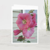 Roze Stokroos, de Mooie Dame van de Verjaardag Kaart (Achterkant)