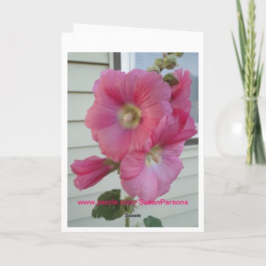 Roze Stokroos, de Mooie Dame van de Verjaardag Kaart (Achterkant)