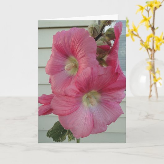 Roze Stokroos, de Mooie Dame van de Verjaardag Kaart (Gele Bloem)