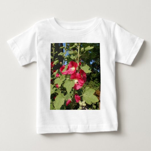 Roze stokrozen (Voorkant)