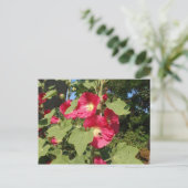 Roze stokrozen briefkaart (Staand voorkant)