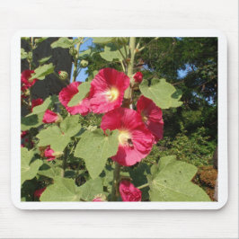 Roze stokrozen muismat