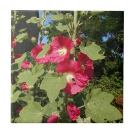 Roze stokrozen tegeltje
