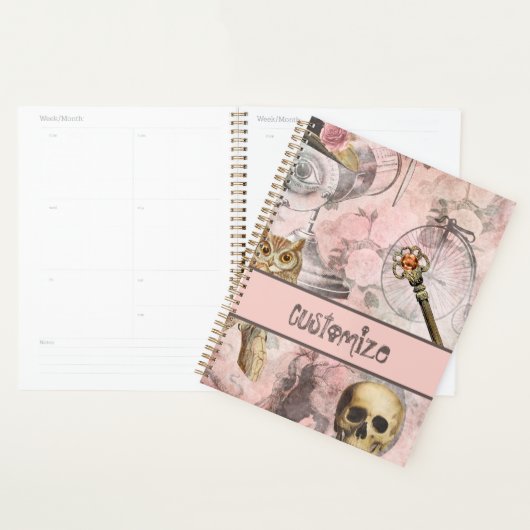 Roze stoomstalen Punk Retro Gothic Owl Keys Planner (Display)