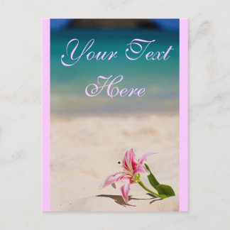 Roze strand Lily Briefkaart