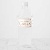 Roze Streep Gouden Confetti Klasse van 2017 Afstud Waterfles Etiket (Voorkant)