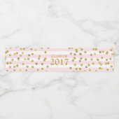 Roze Streep Gouden Confetti Klasse van 2017 Afstud Waterfles Etiket (Enkel label)