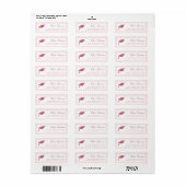 Roze Strepen Afstudeer Retouradreslabel Etiket (Full Sheet)