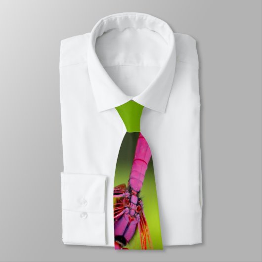 Roze stropdas (Gebonden)