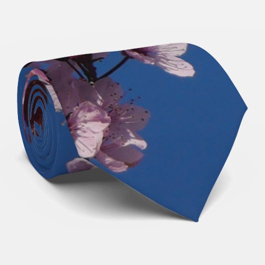 Roze Stropdas van de Cherry Blossom (Opgerold)