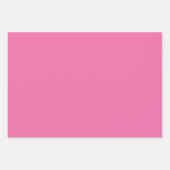 Roze struisvogel veer ontwerp inpakpapier vel (Voorkant 2)