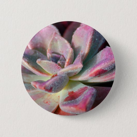 Roze Succulent Ronde Button 5,7 Cm (Voorkant)