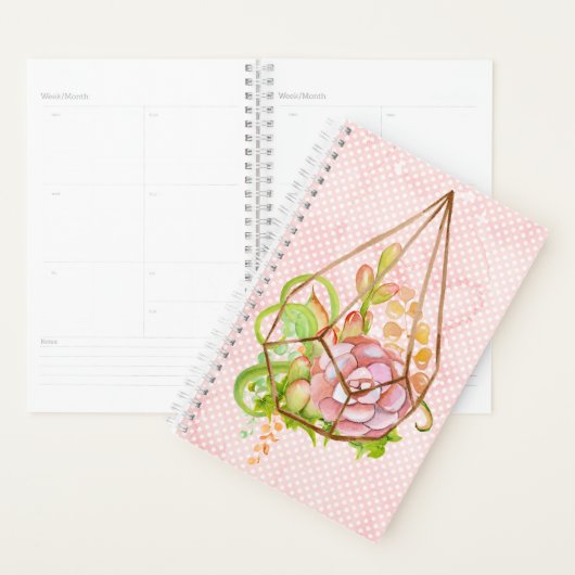 Roze Succulents Terrarium Planner (Display)