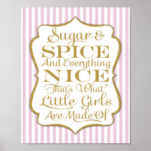 Roze suiker en ijsmeisjes gemaakt van gebarentafdr poster