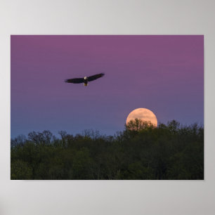 Roze Supermoon Eagle Poster