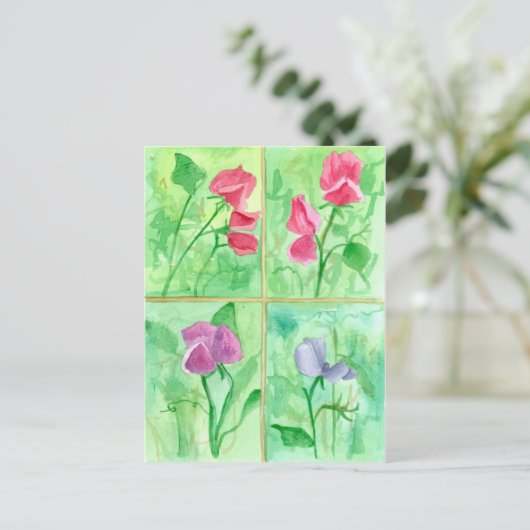 Roze Sweet Pea Flowers Waterverf Schilderij Briefkaart (Staand voorkant)