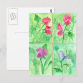 Roze Sweet Pea Flowers Waterverf Schilderij Briefkaart (Voorkant / Achterkant)