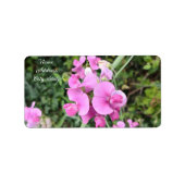Roze Sweet Pea Perennials Etiket (Voorkant)