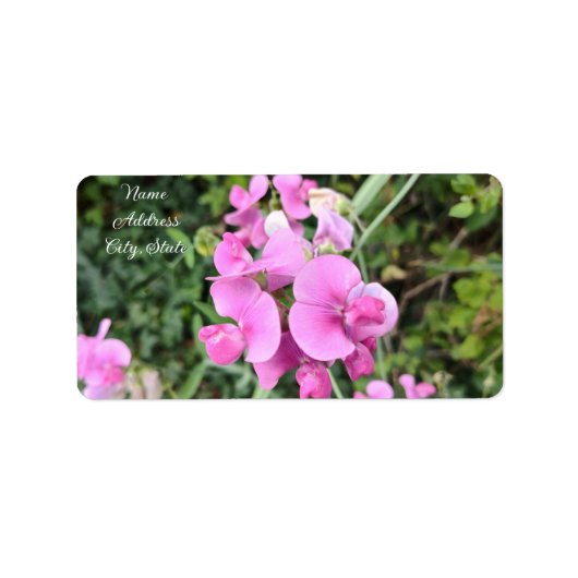 Roze Sweet Pea Perennials Etiket (Voorkant)
