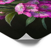 Roze Sweet William Flower Art Print Poster (Hoek)