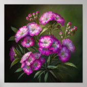 Roze Sweet William Flower Art Print Poster (Voorkant)