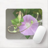 Roze Symfonie Morning Glory Close-up Muismat (Met muis)