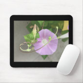 Roze Symfonie Morning Glory  Muismat (Met muis)