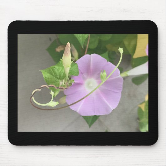 Roze Symfonie Morning Glory  Muismat (Voorkant)