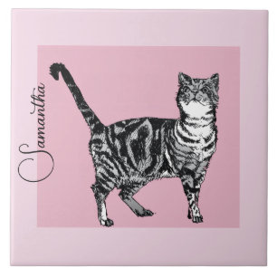 Roze Tabby Kat Katten Pastel Roze Meisjesnaam Tegeltje