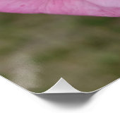 Roze tafelbloem roos lamp perfect poster (Hoek)