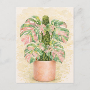 roze tartan monstera blad Schots Schotland Briefkaart