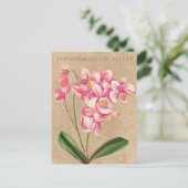 Roze Taupe Orchidee Waterverf Bloemstuk Persoonlij Briefkaart (Staand voorkant)