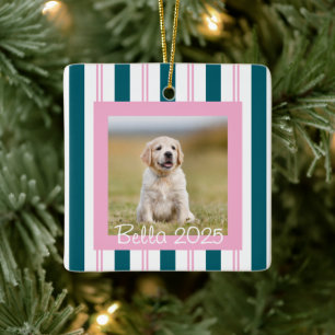 Roze Teal huisdier foto met naam Keramisch Ornament