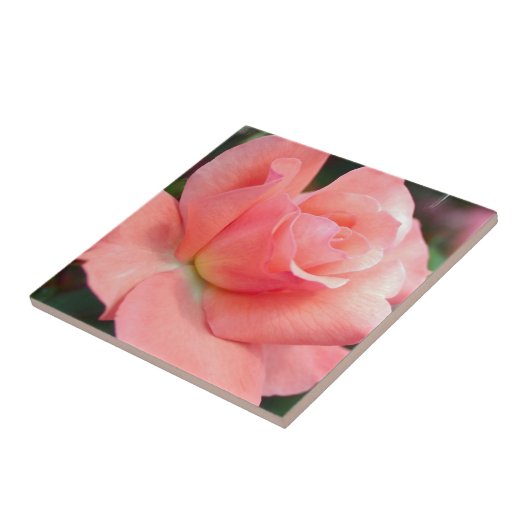 Roze Tegel Tegeltje (Zijkant)