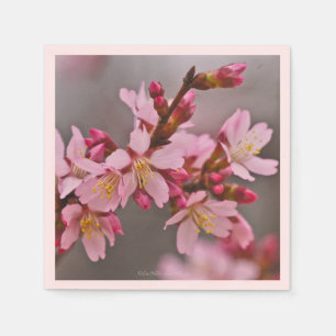 Roze tegen een grijze hemel Cherry Blossom Napkin Servet