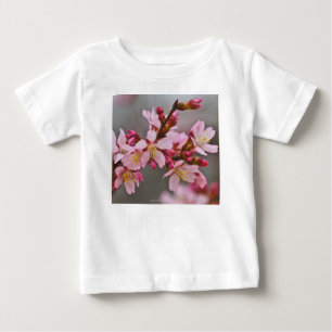 Roze tegen een grijze hemel Japanse Cherry Blossom