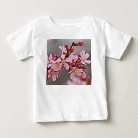 Roze tegen een grijze hemel Japanse Cherry Blossom (Voorkant)