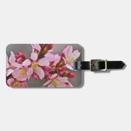 Roze tegen een grijze hemel Japanse Cherry Blossom Bagagelabel (Voorkant horizontaal)