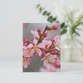 Roze tegen een grijze hemel Japanse Cherry Blossom Briefkaart (Staand voorkant)